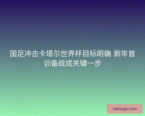 国足冲击卡塔尔世界杯目标明确 新年首训备战成关键一步