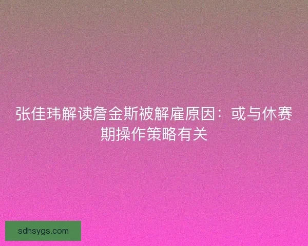 张佳玮解读詹金斯被解雇原因：或与休赛期操作策略有关