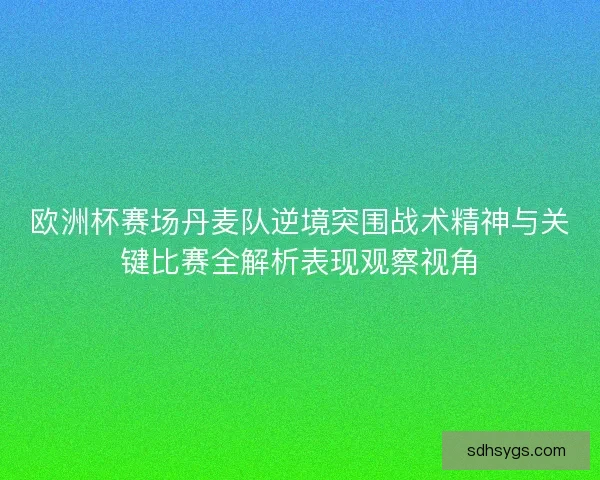 欧洲杯赛场丹麦队逆境突围战术精神与关键比赛全解析表现观察视角