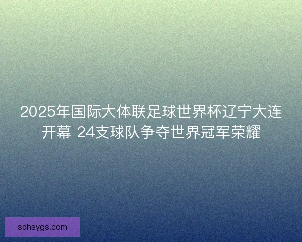 2025年国际大体联足球世界杯辽宁大连开幕 24支球队争夺世界冠军荣耀