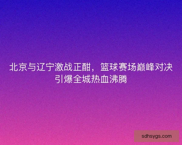 北京与辽宁激战正酣，篮球赛场巅峰对决引爆全城热血沸腾