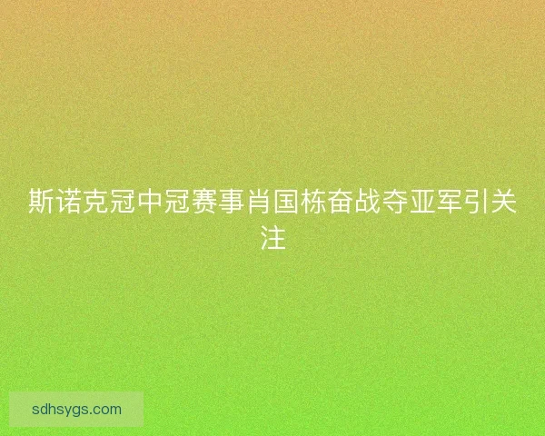 斯诺克冠中冠赛事肖国栋奋战夺亚军引关注